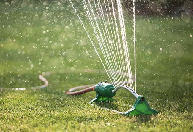 When Should You Water Your Lawn After Fertilizing?