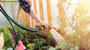 tips for watering garden